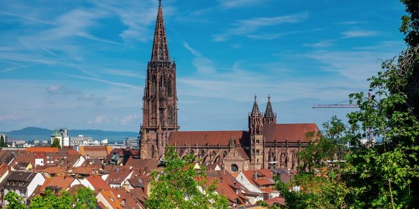 Bild vom Freiburger Münster